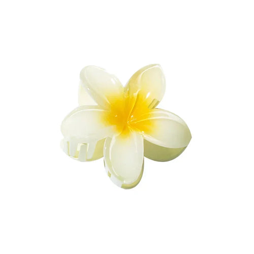 Hawaiian Gradient Flower Hair Clips